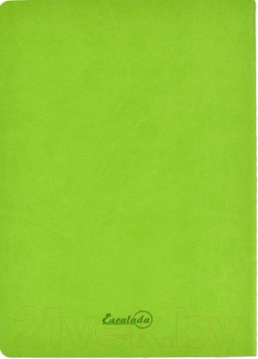 Записная книжка Escalada Шагрень / 52903 (зеленый)
