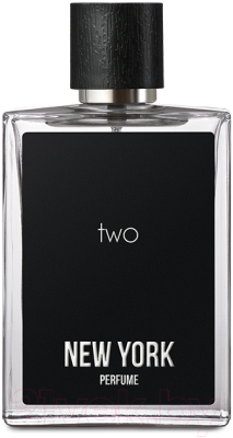 Туалетная вода Parfums Constantine New York Perfume Two For Men (90мл)