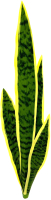 Искусственное растение Артфлора Cансевиерия изумрудная / 105023 - 