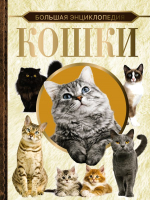 

Энциклопедия АСТ, Большая энциклопедия. Кошки