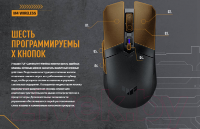Изображение товара Мышь Asus P306 TUF Gaming M4
