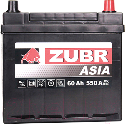 Изображение товара Автомобильный аккумулятор Zubr Ultra Asia R+ (60 А/ч)