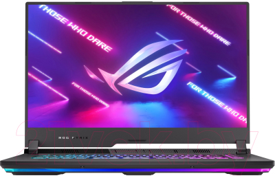 Игровой ноутбук Asus ROG Strix G17 G713IE-HX014