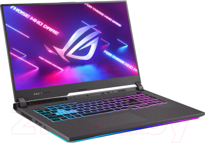 Игровой ноутбук Asus ROG Strix G17 G713IE-HX014