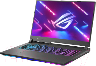 Игровой ноутбук Asus ROG Strix G17 G713IE-HX014