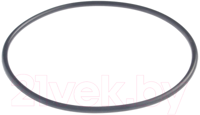 Изображение товара Кольцо уплотнительное для фильтра RBM 3/4" 100 мкм / 5027.045