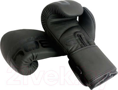 Боксерские перчатки BoyBo First Edition (10oz)