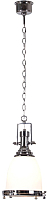 Потолочный светильник Lussole Loft LSP-9613 - 