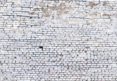 Фотообои листовые Komar White Brick 8-881 (368x254)