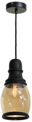 Потолочный светильник Lussole Loft LSP-9690