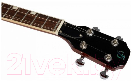 Укулеле Flight Vanguard Tenor TBK