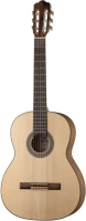 Акустическая гитара Hora SS400 Eco Ash - 