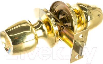 Защелка врезная Avers 0598-05-G