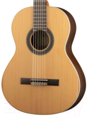 Изображение товара Акустическая гитара Alhambra 1C HT LH / 795 (с чехлом)