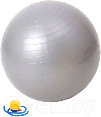 Изображение товара Гимнастический мяч Sabriasport 75B (серый)