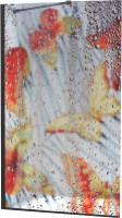 Стеклянная шторка для ванны Belux Помпеи ДС 60x150 (бабочки П-15/черный) - 