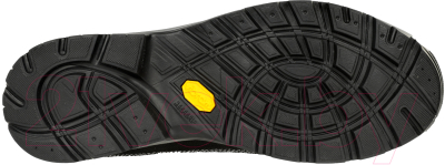Трекинговые ботинки Asolo Drifter I Evo GV MM / A23130-A623 (р-р 10, графитовый/металлик)