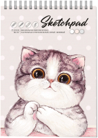 

Скетчбук Феникс+, Милая кошка / 62769