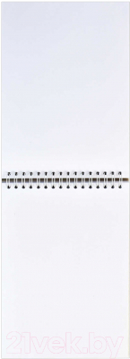 Изображение товара Скетчбук Феникс+ Кото-Карусель / 60670