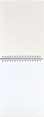 Изображение товара Скетчбук Феникс+ Кото-Карусель / 60670