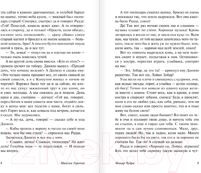 Художественная книга АСТ На дне. Эксклюзив: Русская классика (Горький М.) — фото 5