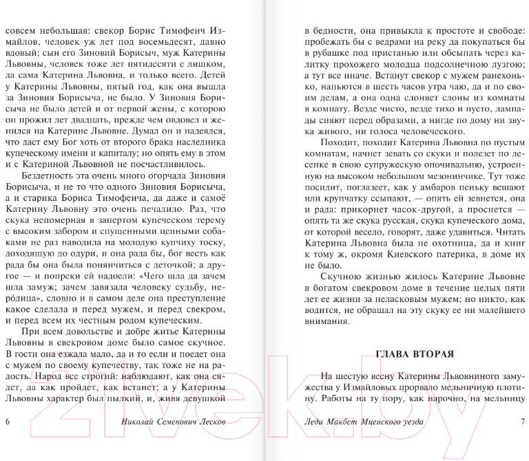 Художественная книга АСТ Леди Макбет Мценского уезда. Эксклюзив: Русская классика (Лесков Н.С.) — фото 5