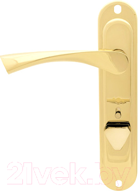 Ручка дверная Apecs HP-42.0123-S-C-G-R