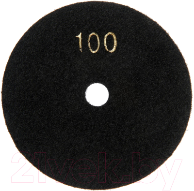 Шлифовальный круг Tundra Черепашка сухая шлифовка 100мм № 100 / 3594932 