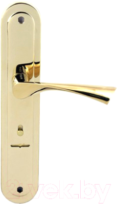Ручка дверная Apecs HP-85.0423-S-G