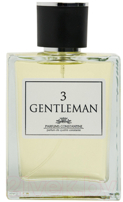 Туалетная вода Parfums Constantine Gentleman 3 (100мл)