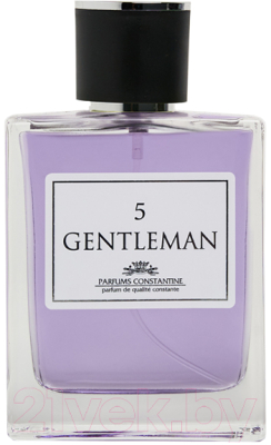 Туалетная вода Parfums Constantine Gentleman 5 (100мл)