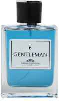 Туалетная вода Parfums Constantine Gentleman 6 (100мл) - 