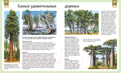 Энциклопедия Махаон Универсальная школьная энциклопедия (Перруден Ф., Камбурнак Л.)