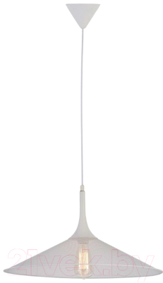 Потолочный светильник Lussole Loft LSP-9812