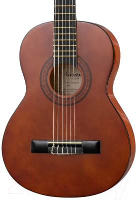 Акустическая гитара Naranda CG120-1/2