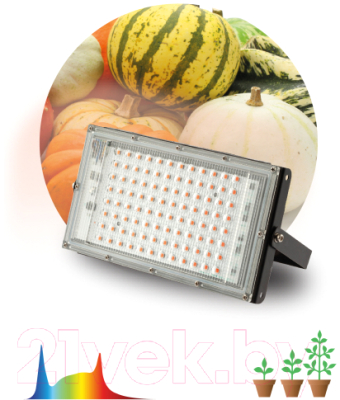 Лампа для растений ЭРА FITO-80W-Ra90-LED-Y / Б0057284