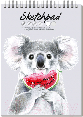 Изображение товара Скетчбук Феникс+ Коала с арбузом / 62767