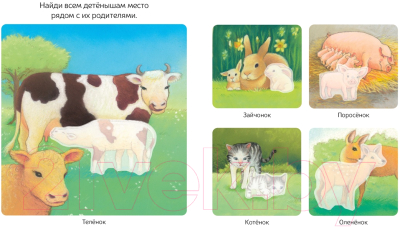 Развивающая книга Махаон Детёныши животных с наклейками