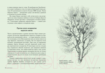 Книга КоЛибри Деревья. Как жизни человека и дерева переплетены друг с другом (Хазе А.)