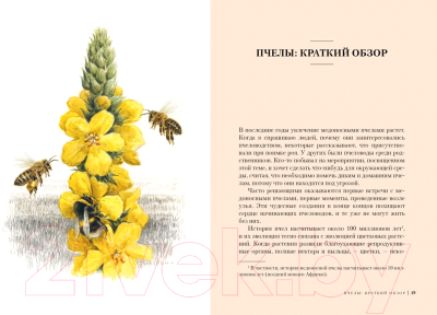 Книга КоЛибри Пчелы. Что человек и пчела значат друг для друга (Хайнбух Ф.)