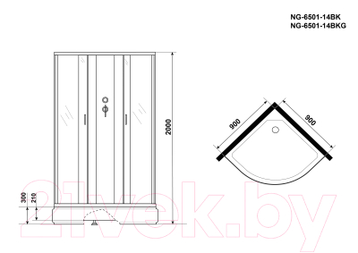 Душевая кабина Niagara NG-6501-14BKG 90x90x215 (тонированное стекло/черный)