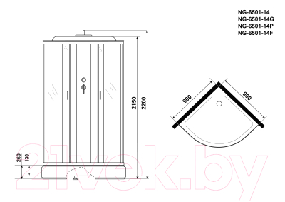 Душевая кабина Niagara NG-6501-14P 90x90x215 (тонированное стекло/черный)