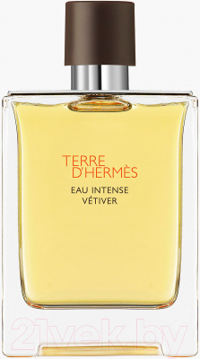 Парфюмерная вода Hermes Terre D'Hermes Eau Intense Vetiver (100мл)