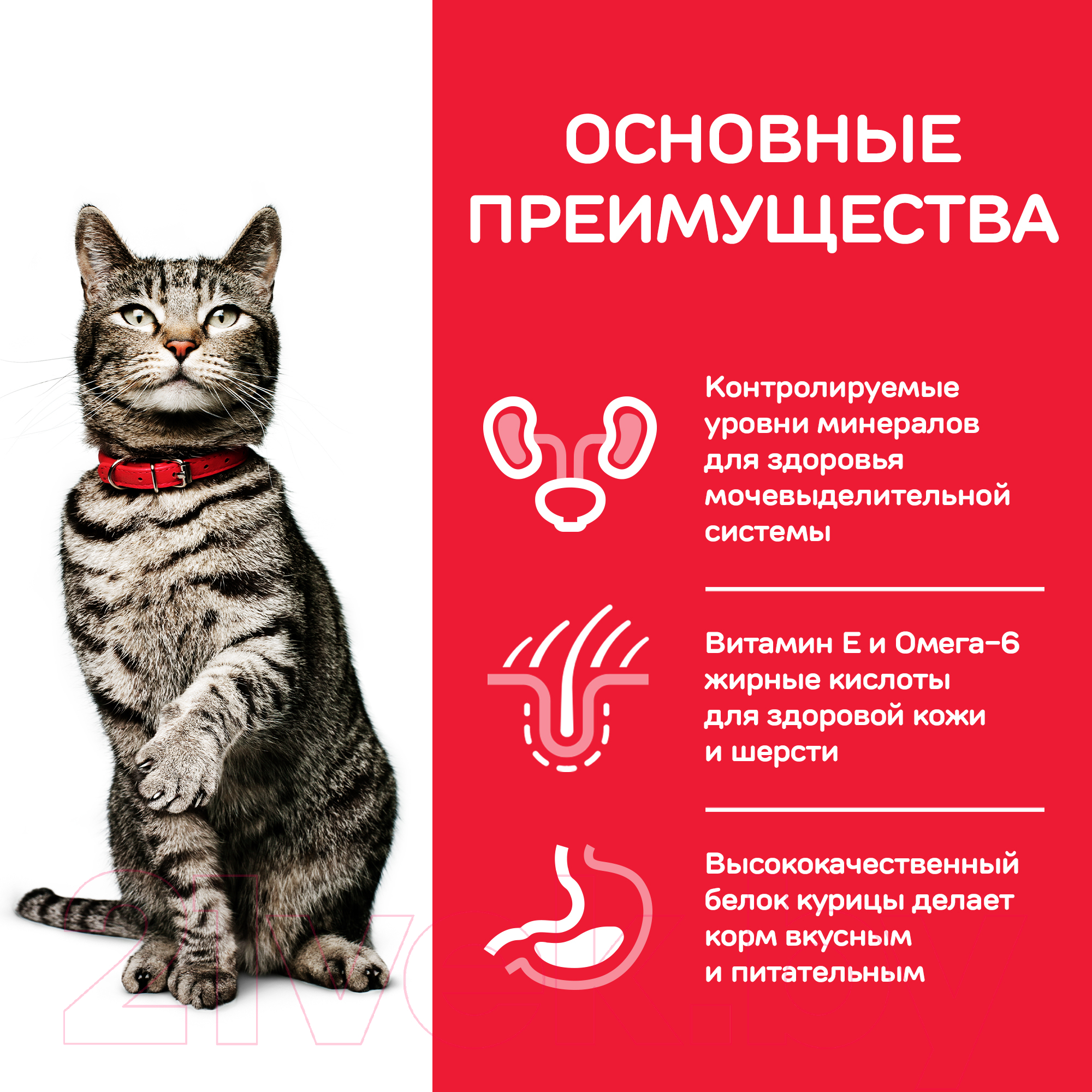 Сухой корм для кошек Hill's Science Plan Feline Adult Urinary Sterilised Chicken (1.5кг) — фото 4