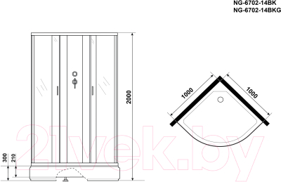 Душевая кабина Niagara NG-6702-14BKG 100x100x200 (прозрачное стекло/черный)