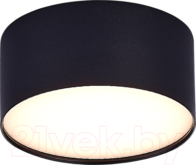 Потолочный светильник ST Luce ST606.432.12 (черный)