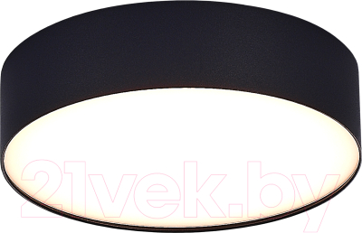 Потолочный светильник ST Luce ST606.432.27 (черный)