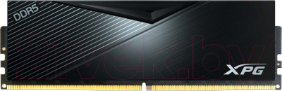 Оперативная память DDR5 A-data AX5U5600C3616G-DCLABK
