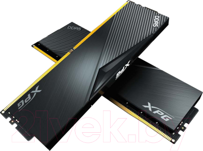 Оперативная память DDR5 A-data AX5U5600C3616G-DCLABK