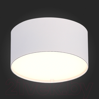 Потолочный светильник ST Luce ST606.532.12 (белый)